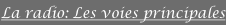 shapeimage_9_link_1