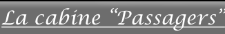 shapeimage_5_link_0