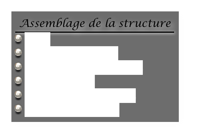Assemblage de la structure
￼
 Le kit
 La structure centrale
 Les demi couples AV & AR
 Les empennages
 Les pylônes de propulsion
 Montage des turbines