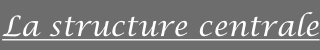 shapeimage_5_link_1