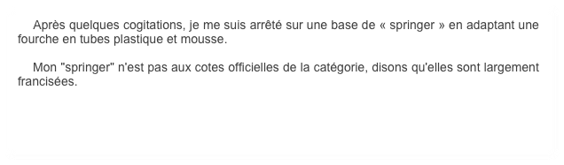     Après quelques cogitations, je me suis arrêté sur une base de « springer » en adaptant une fourche en tubes plastique et mousse. 
    Mon "springer" n'est pas aux cotes officielles de la catégorie, disons qu'elles sont largement francisées.