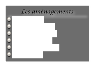 Les aménagements
￼
 Le gouvernail 
 Le poste de pilotage
 La cabine principale
 Plat-bords & ponts
 Le compartiment fret
 L' accastillage