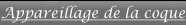 shapeimage_6_link_0